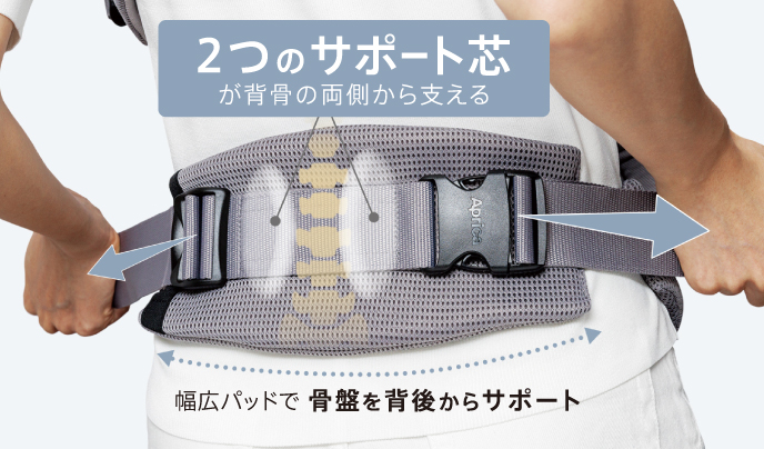 2つのサポート芯が背骨の両側から支える