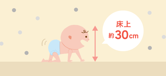 床上約30㎝